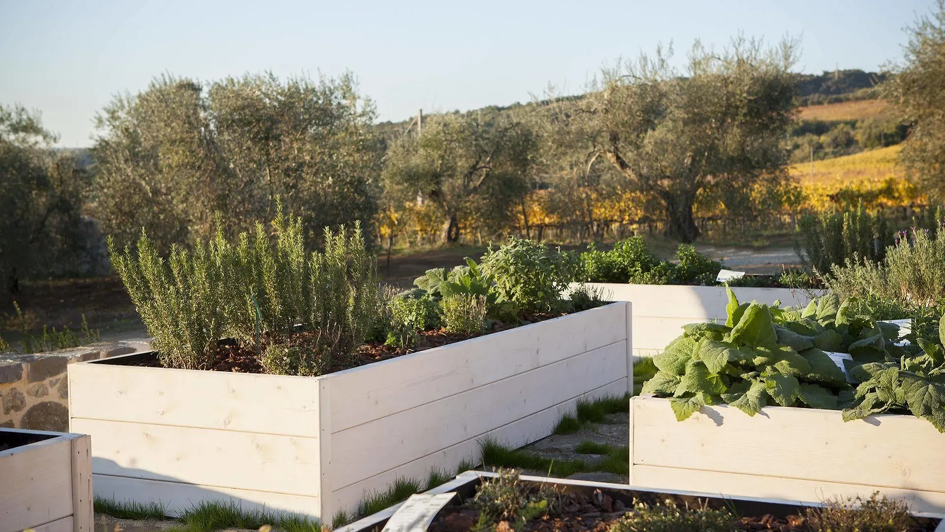 Hotell Foresteria Podere Brizio - Montalci Montalcino