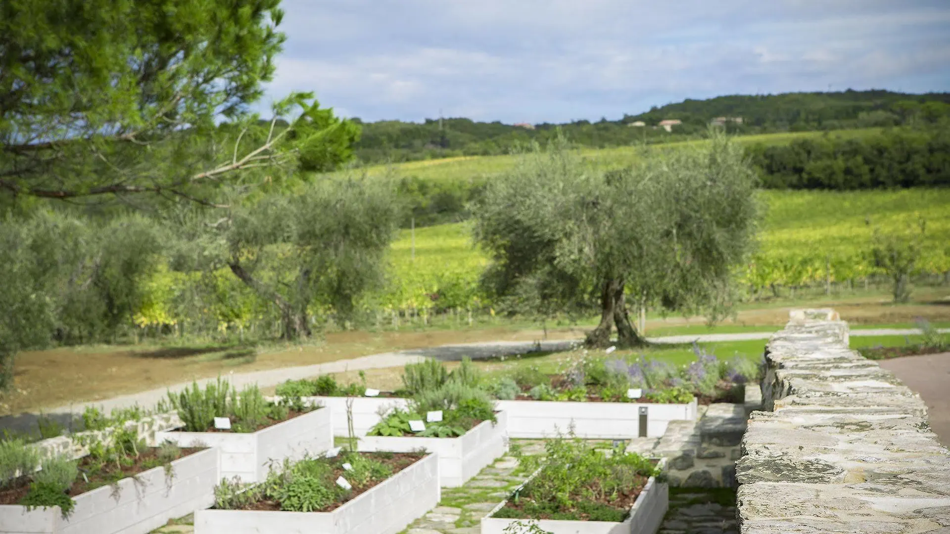 Foresteria Podere Brizio - Montalci Montalcino 3*,  Italien